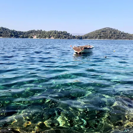 Marija Mljet *